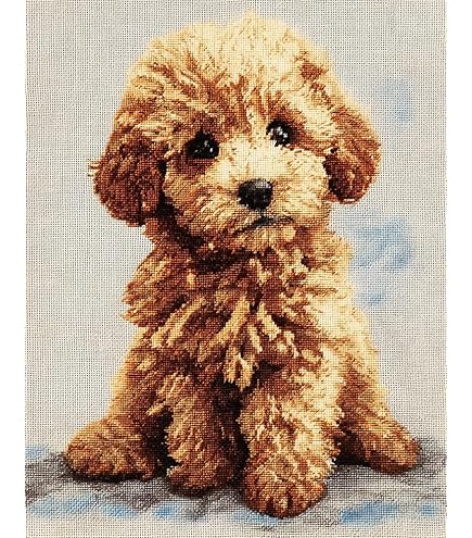 Amazon | LECIEN(ルシアン) 刺しゅうキット クロスステッチ Dog&Flower